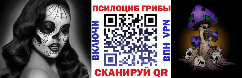 Купить  Алейск  Псилоцибиновые грибы мухоморы